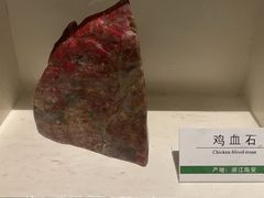 -浙江自然博物院(杭州馆)