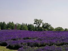 -同里国家湿地公园