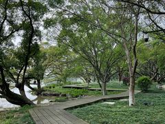 -江心屿景区