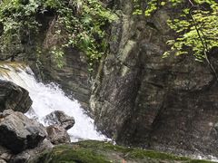 -牛背梁国家森林公园