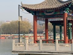 -莲花池公园