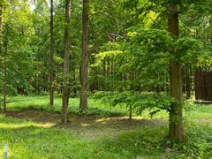 -黄海国家森林公园