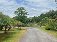 -中国科学院西双版纳热带植物园