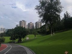 -龙头寺公园