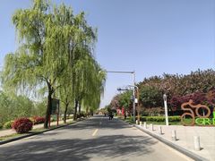 -洨河生态公园