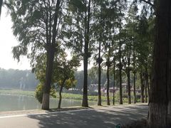 -东湖落雁景区