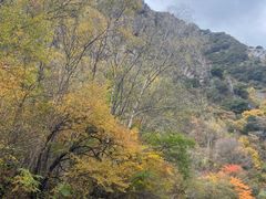-叠溪松坪沟景区