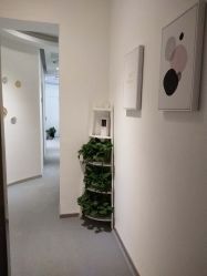 -MedSkinCare科技祛痘肌肤修护中心