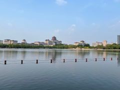 -莲花池公园