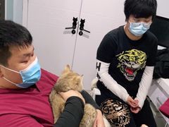 -纳吉亚猫专科动物医院·北北分院
