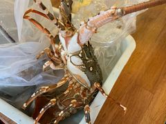 龙虾-拉威海鲜市场