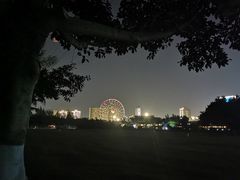 -万绿园