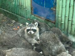 -秦皇岛野生动物园