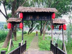 -洪湖生态旅游区