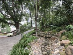 -成都市活水公园