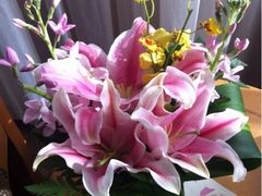 iphone_upload_pic-北京新世纪饭店(动物园地铁站店)