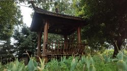 -长沙小顽国景区