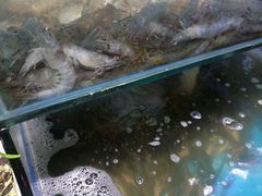-船梆煮•蒸汽海鲜·生腌干蒸(五四广场店)