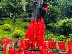 -都江堰景区