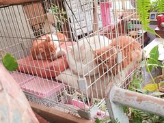 -懒鱼时光馆(沙坪坝店)