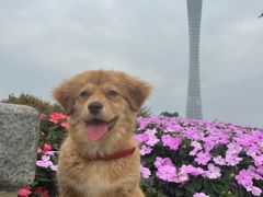 -二沙岛艺术公园