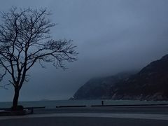 -青岛崂山太清宫