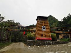 -黑河国家森林公园