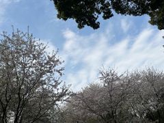 -南山植物园