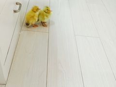 -长沙一页量贩KTV