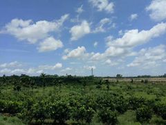 -侯臣咖啡文化村