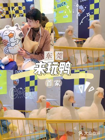 东莞探店|来玩鸭CALL DUCK