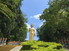 -西双版纳勐泐文化旅游区