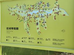 -千年银杏谷文化旅游区