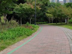 -金山公园