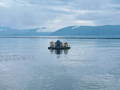 -大理洱海
