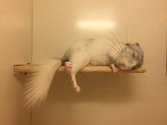 -龙猫仔乐园(惠福东路店)