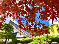 -常寂光寺
