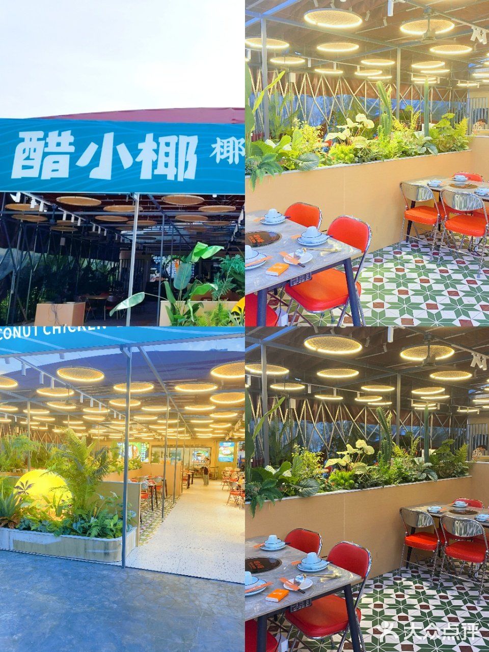 近期在三亚吃到了坠满意的椰子鸡👍！ 