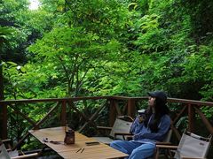 -宁波五龙潭景区