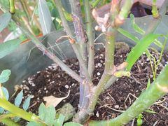 -金海岸足道(联盛大厦店)