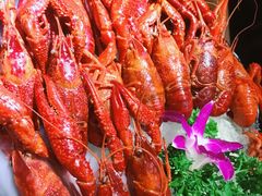 -红盔甲·小龙虾(天钥桥店)