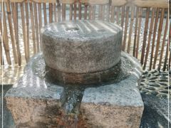 -白桦林温泉谷