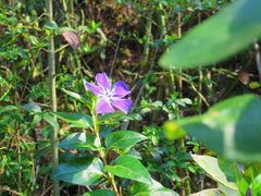 -黔灵山公园