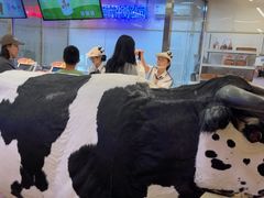 -红星前进面包牛奶公司(君太店)