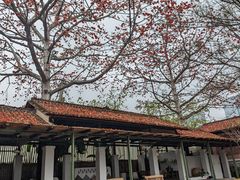 -喜洲吧·江畔老船厂·庭院餐厅(喜临院店)