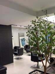 -付军剪艺JF ProSalon