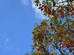 -波尔登森林公园