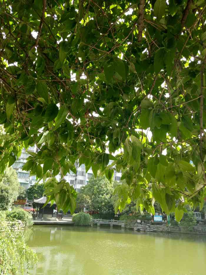 县学公园-"就在宏泰电影院的斜对面,公园的后面是一个.