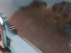 -FAELING PETS美天灵宠物(合生汇店)
