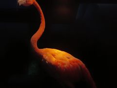 -大连自然博物馆·地球展厅